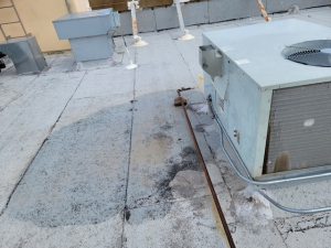 Church Roof Leak & Water Damage Remediation