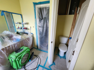 Master Bedroom Mold Remediation in Houston, TX