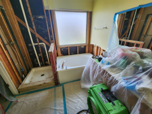 Master Bedroom Mold Remediation in Houston, TX