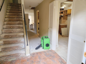 Mold Remediation after a Water Leak