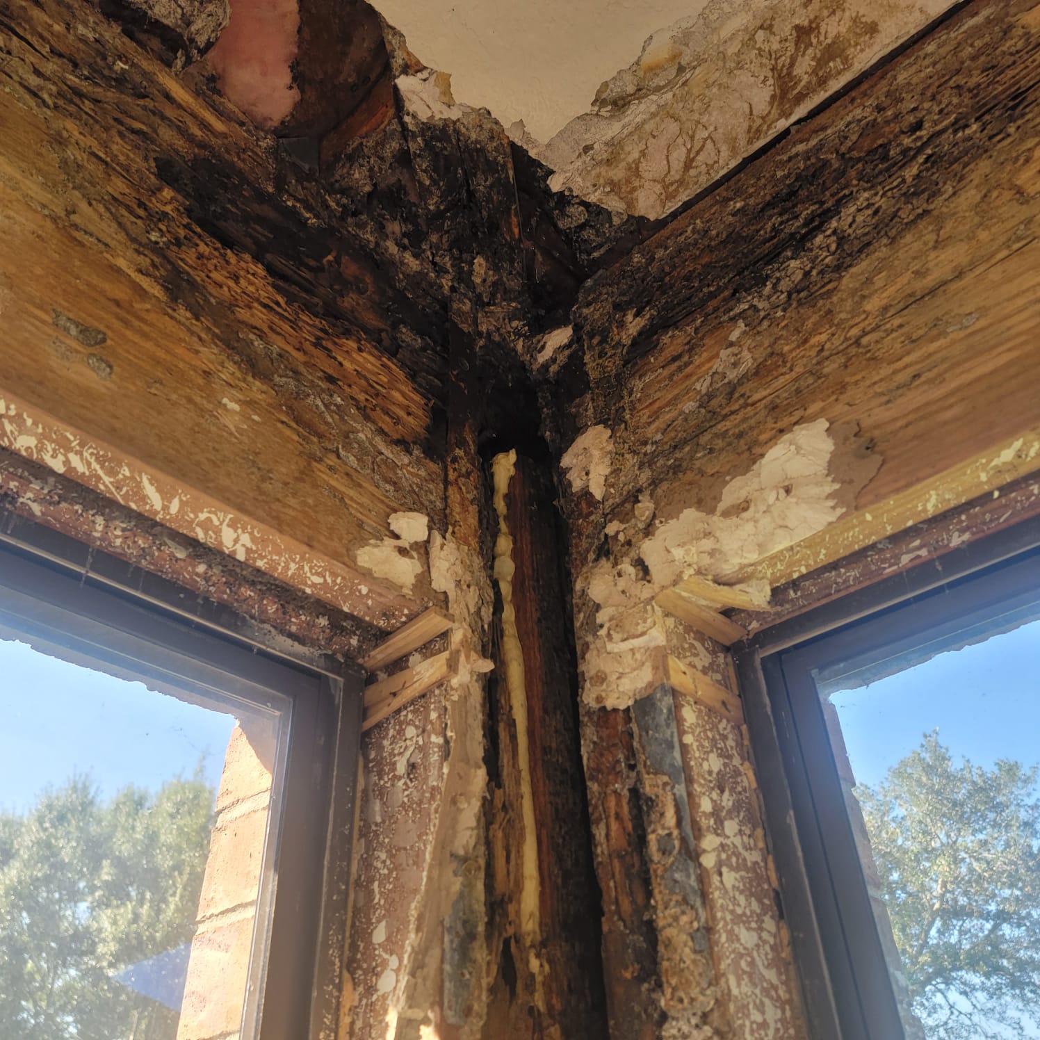 This mold job began as an upstairs patio leak. We investigated, demoed, remediated the mold and passed with flying colors.