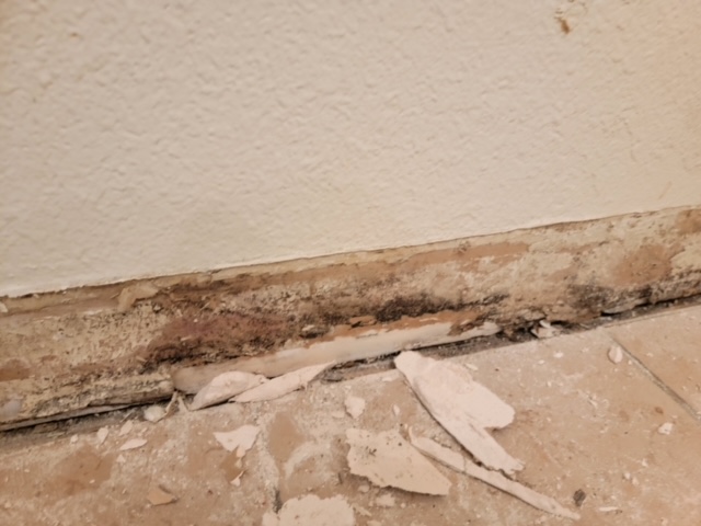 Water Damage Restoration & Mold Removal in Houston, TX