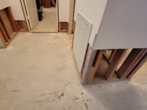 Water damage restoration after a toilet tank busted and flooded this Houston, TX house