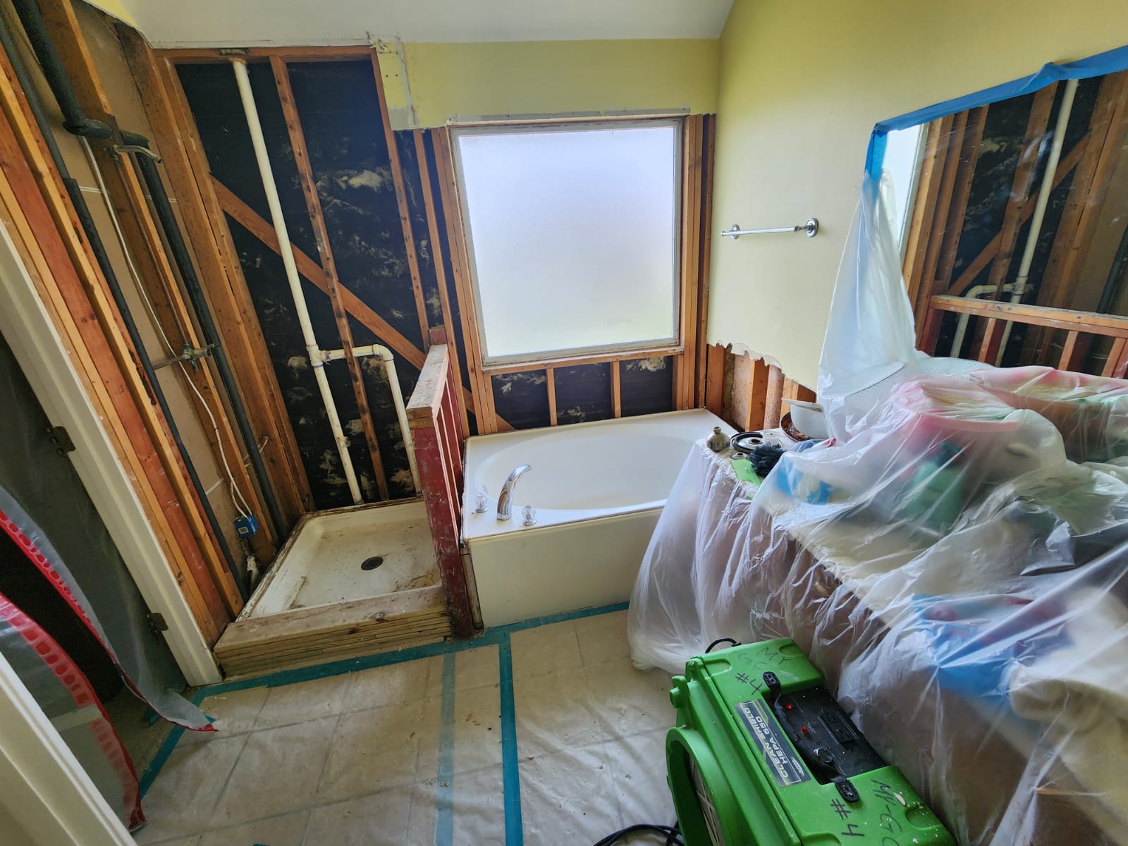 Master Bedroom Mold Remediation in Houston, TX