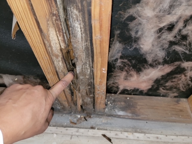 Mold Remediation after Deteriorated Wax Ring Caused Mold in Houston, TX