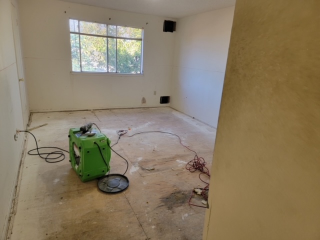 Mold Remediation in Houston, TX