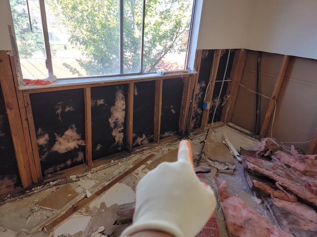 Mold Remediation in Houston, TX