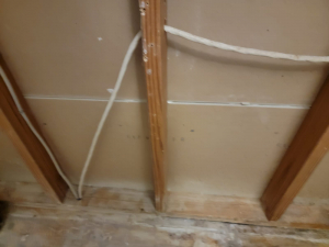 Mold Remediation after Deteriorated Wax Ring Caused Mold in Houston, TX