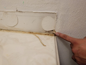 Mold Remediation after Deteriorated Wax Ring Caused Mold in Houston, TX