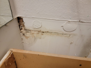 Mold Remediation after Deteriorated Wax Ring Caused Mold in Houston, TX