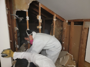 Mold Remediation after Deteriorated Wax Ring Caused Mold in Houston, TX