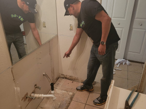 Mold Remediation in Houston, TX