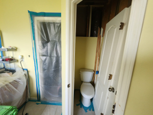 Master Bedroom Mold Remediation in Houston, TX