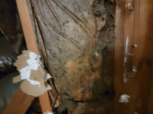 Mold Remediation after Deteriorated Wax Ring Caused Mold in Houston, TX