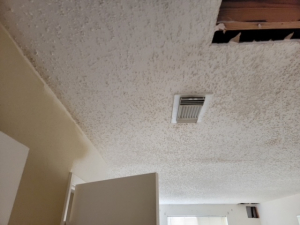 Mold Remediation after a Water Leak