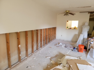 Mold Remediation after a Water Leak