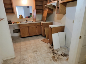 Mold Remediation after a Water Leak