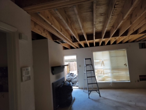 Mold Remediation after a Water Leak
