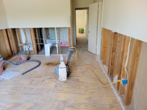 Mold Remediation in Houston, TX