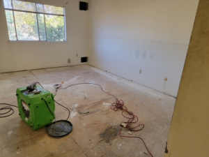 Mold Remediation in Houston, TX