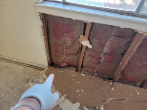 Mold Remediation in Houston, TX