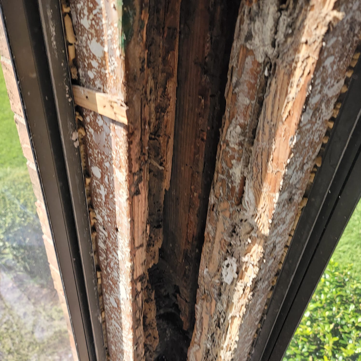 This mold job began as an upstairs patio leak. We investigated, demoed, remediated the mold and passed with flying colors.