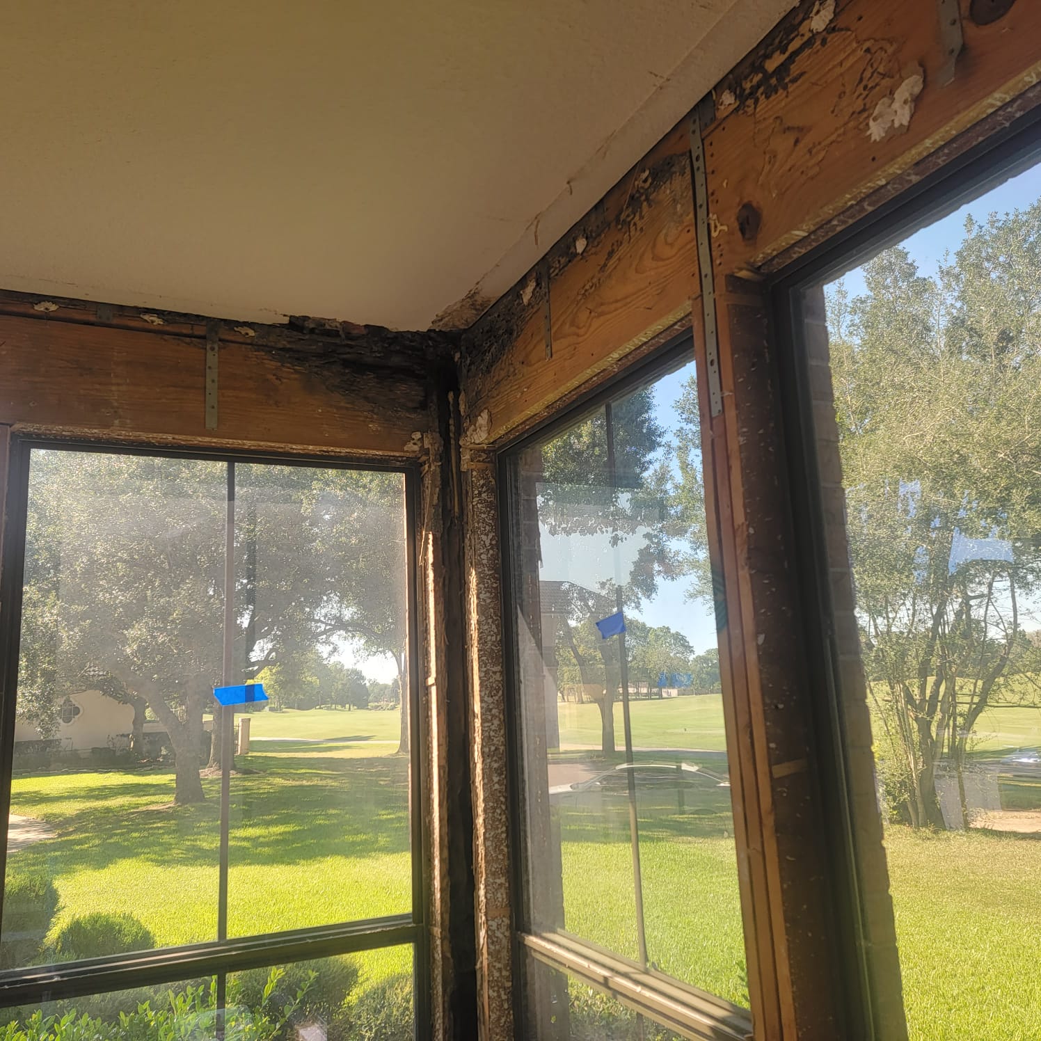 This mold job began as an upstairs patio leak. We investigated, demoed, remediated the mold and passed with flying colors.