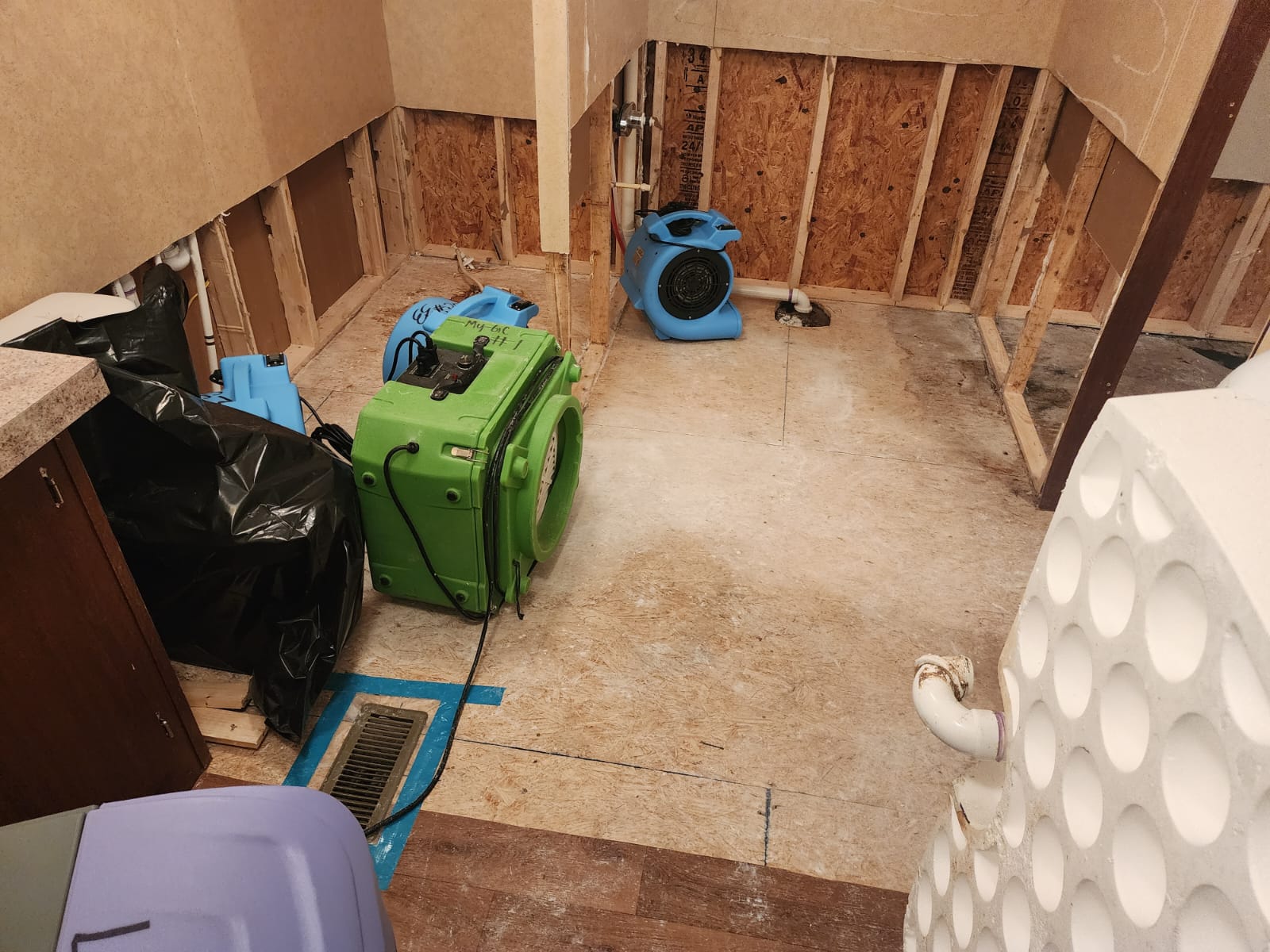 Water Damage Restoration & Mold Removal in Houston, TX