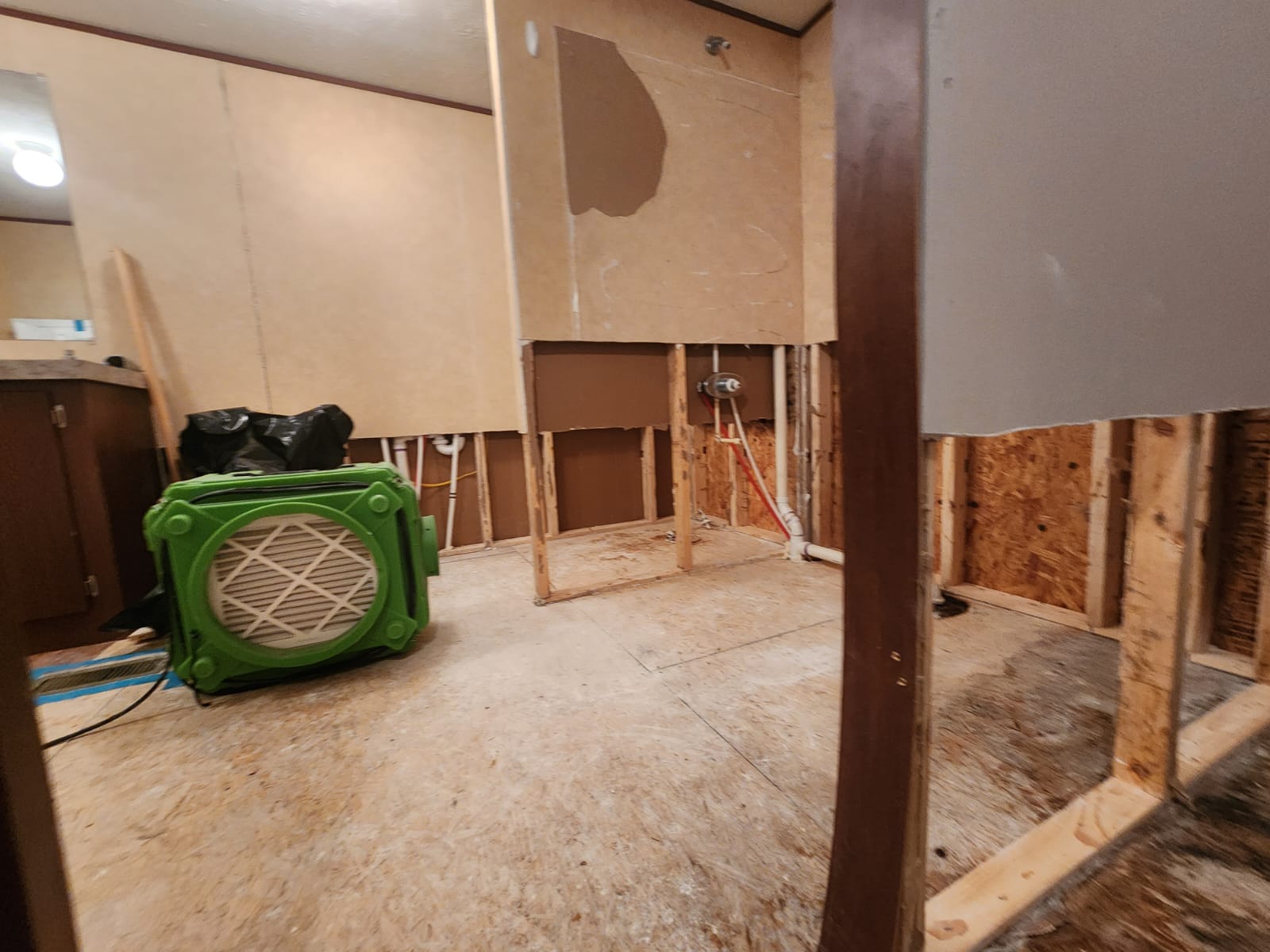 Water Damage Restoration & Mold Removal in Houston, TX