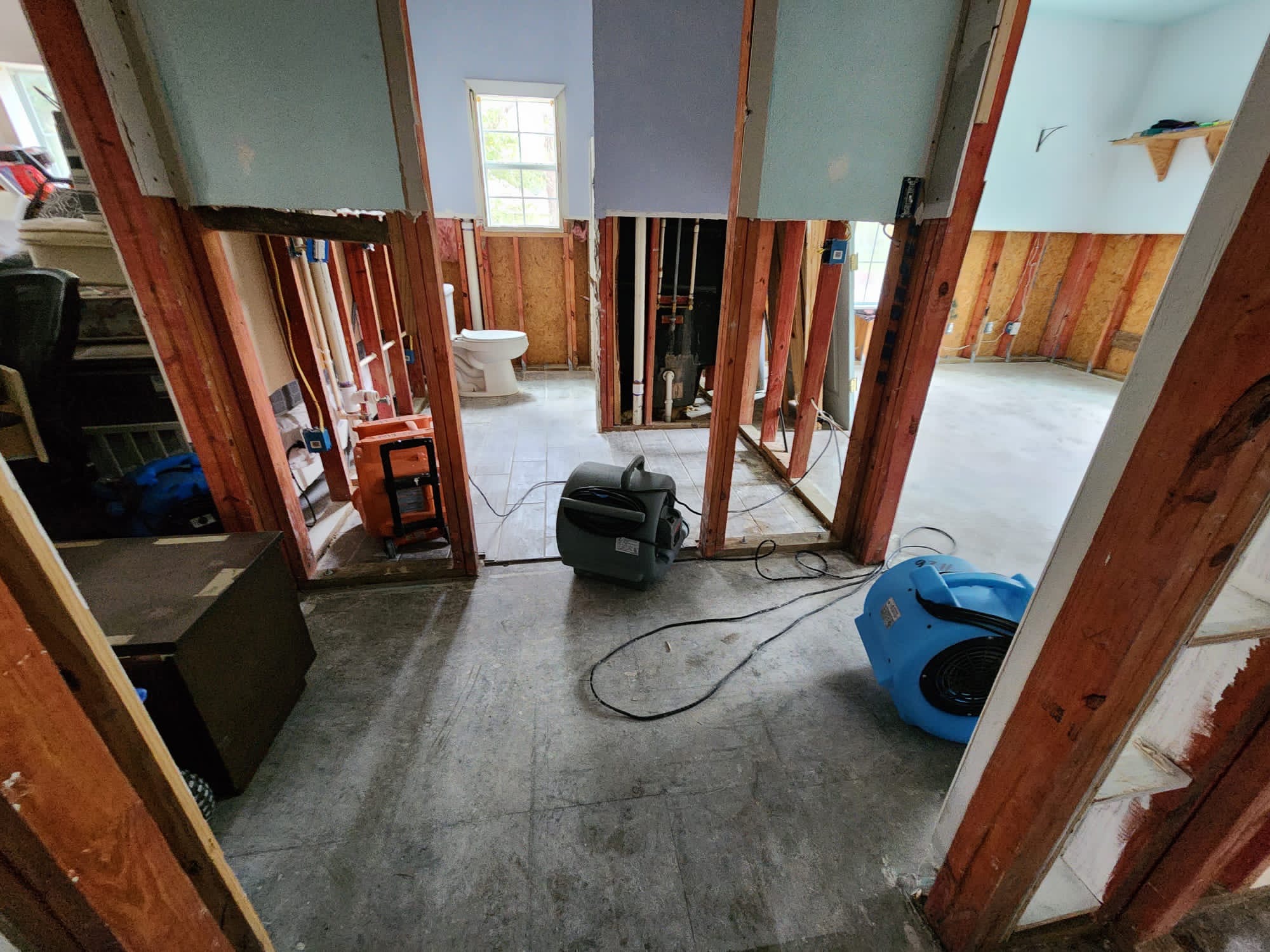 Water Damage Restoration & Mold Removal in Houston, TX