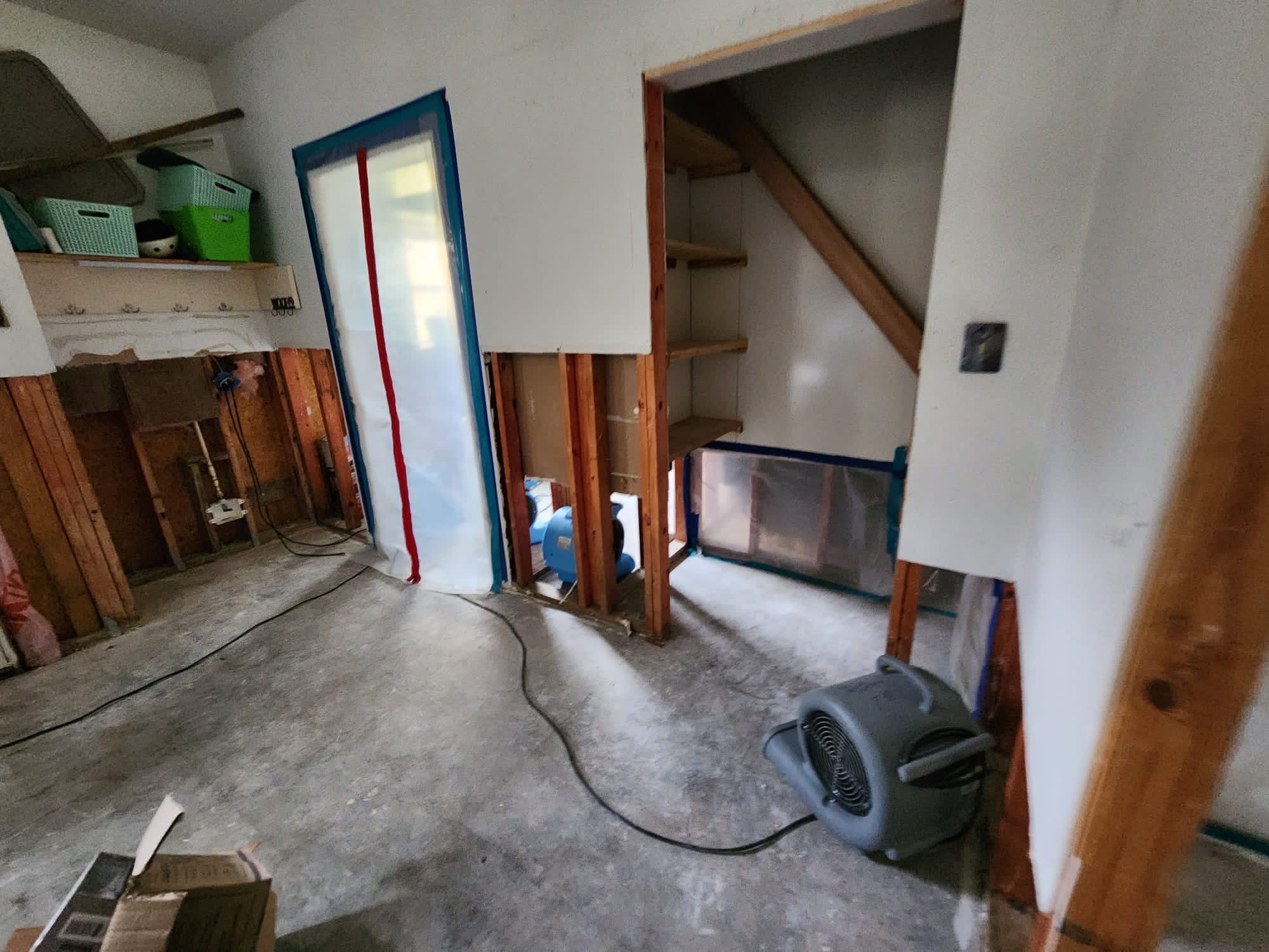 Water Damage Restoration & Mold Removal in Houston, TX