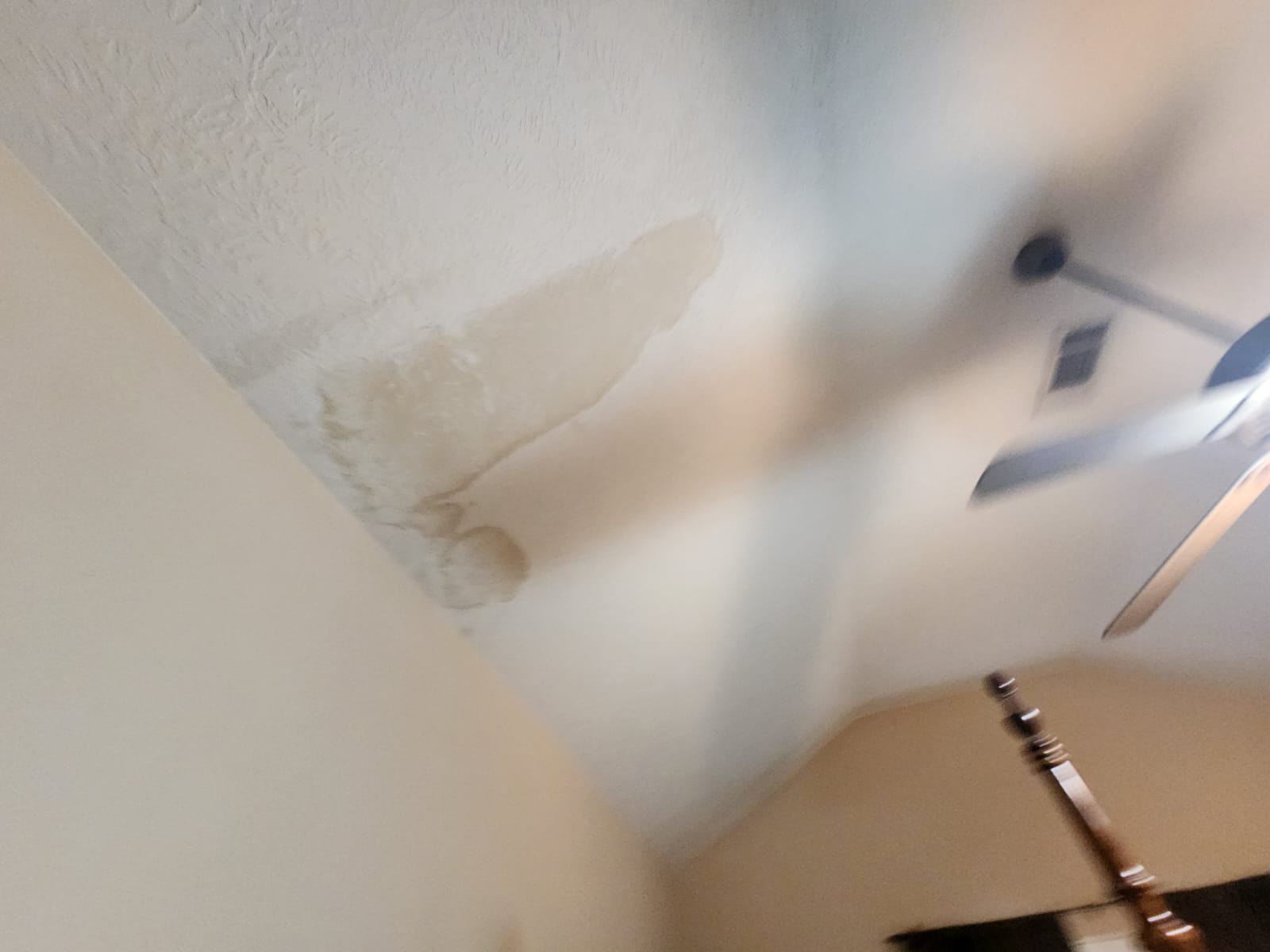 Mitigating water damage after pipe burst in attic.