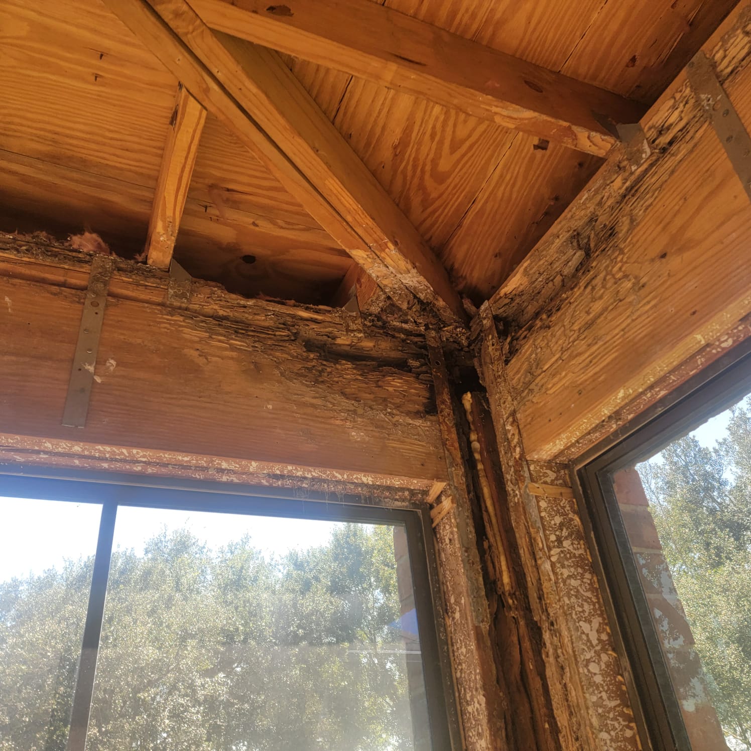 This mold job began as an upstairs patio leak. We investigated, demoed, remediated the mold and passed with flying colors.