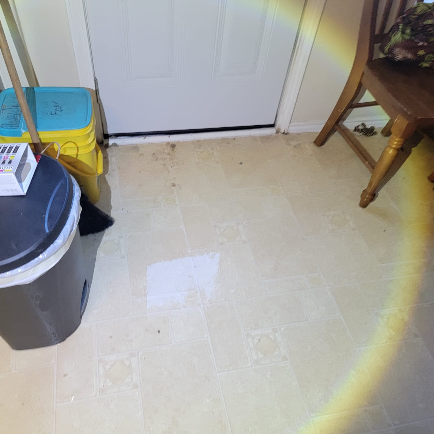 Drying out property after flood caused by a drainage system problem where a collapsed pipe caused the toilet to overflow.