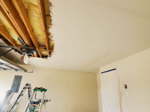 Category 3 Loss Water Damage Restoration in Houston, TX