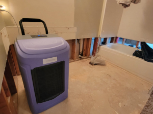 Water damage restoration after a toilet tank busted and flooded this Houston, TX house