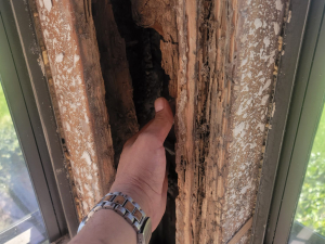 This mold job began as an upstairs patio leak. We investigated, demoed, remediated the mold and passed with flying colors.