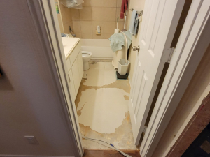 We extracted the water, dried out the home, and cut out and replaced the damaged materials after a washer overflowed.