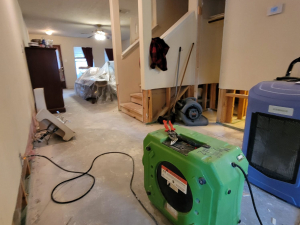 Drying out property after flood caused by a drainage system problem where a collapsed pipe caused the toilet to overflow.