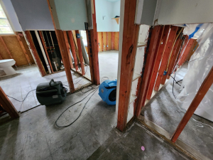 Water Damage Restoration & Mold Removal in Houston, TX