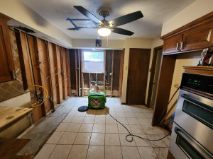 Water Damage Restoration & Mold Removal in Houston, TX