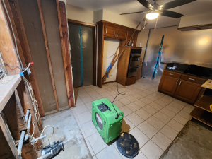 Water Damage Restoration & Mold Removal in Houston, TX