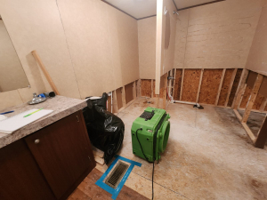 Water Damage Restoration & Mold Removal in Houston, TX