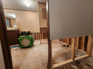 Water Damage Restoration & Mold Removal in Houston, TX