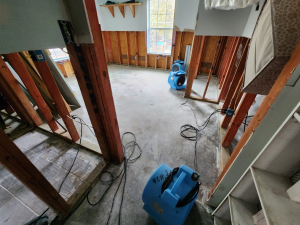 Water Damage Restoration & Mold Removal in Houston, TX