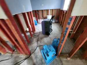 Water Damage Restoration & Mold Removal in Houston, TX