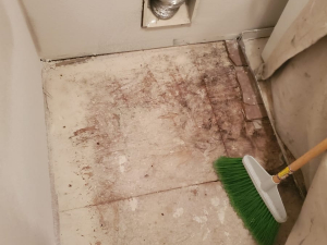 Category 3 Loss Water Damage Restoration in Houston, TX