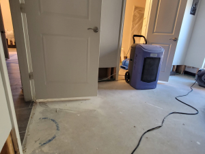 After a tub overflowed, we completed a one foot cut and dry out.