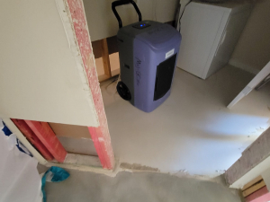 We extracted the water, dried out the home, and cut out and replaced the damaged materials after a washer overflowed.