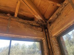 This mold job began as an upstairs patio leak. We investigated, demoed, remediated the mold and passed with flying colors.